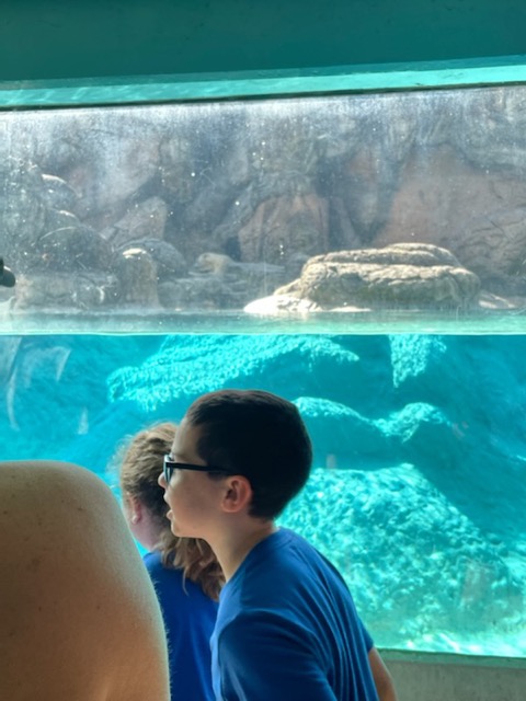 IMG_4110.jpeg